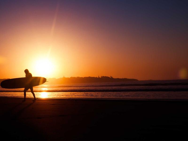 TikTok全套教程<br>注册/养号/矩阵/变现/解封一站式